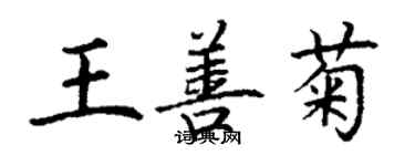 丁謙王善菊楷書個性簽名怎么寫