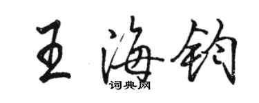 駱恆光王海鈞行書個性簽名怎么寫