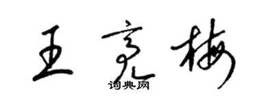 梁錦英王亮梅草書個性簽名怎么寫