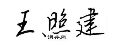 王正良王照建行書個性簽名怎么寫