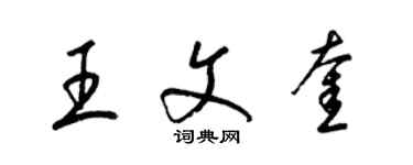 梁錦英王文奎草書個性簽名怎么寫