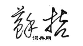 駱恆光蘇哲草書個性簽名怎么寫