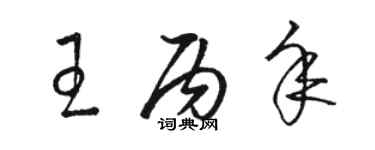 駱恆光王丙年草書個性簽名怎么寫