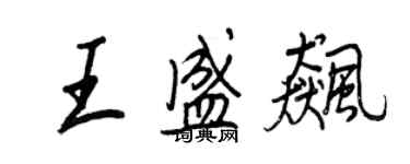 王正良王盛飈行書個性簽名怎么寫
