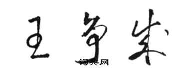 駱恆光王爭成草書個性簽名怎么寫