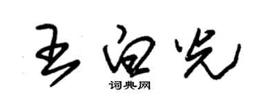 朱錫榮王白光草書個性簽名怎么寫