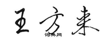 駱恆光王方來行書個性簽名怎么寫