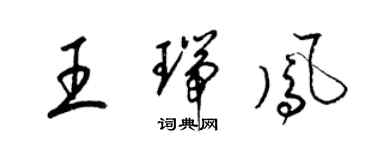 梁錦英王瑞鳳草書個性簽名怎么寫