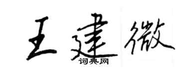王正良王建微行書個性簽名怎么寫