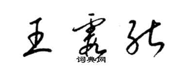 梁錦英王霞能草書個性簽名怎么寫