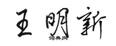 駱恆光王明新行書個性簽名怎么寫