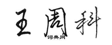 駱恆光王周科行書個性簽名怎么寫