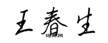 王正良王春生行書個性簽名怎么寫