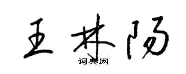 梁錦英王林陽草書個性簽名怎么寫