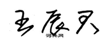 朱錫榮王辰君草書個性簽名怎么寫