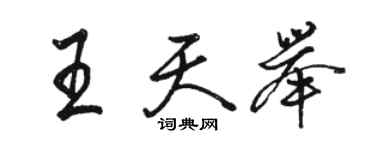 駱恆光王天舉行書個性簽名怎么寫