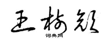 曾慶福王樹顏草書個性簽名怎么寫
