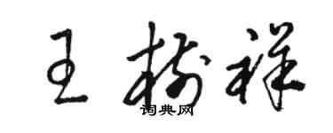 駱恆光王樹祥草書個性簽名怎么寫