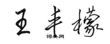 駱恆光王豐檬行書個性簽名怎么寫