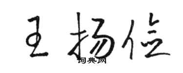 駱恆光王揚儉草書個性簽名怎么寫