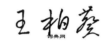 駱恆光王柏葵草書個性簽名怎么寫