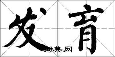 翁闓運發育楷書怎么寫