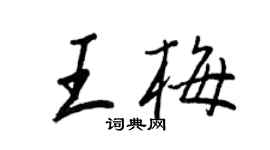 王正良王梅行書個性簽名怎么寫