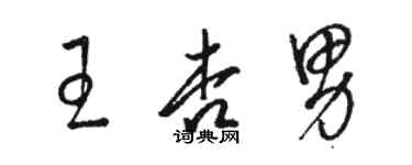 駱恆光王杏男草書個性簽名怎么寫