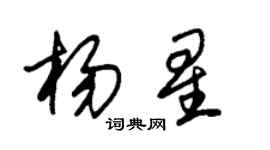 朱錫榮楊星草書個性簽名怎么寫