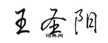 駱恆光王聖陽行書個性簽名怎么寫