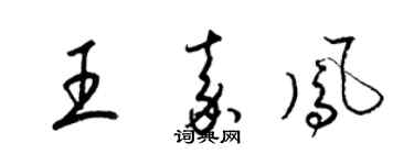 梁錦英王嘉鳳草書個性簽名怎么寫