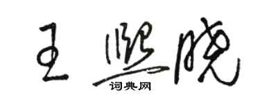 駱恆光王熙曉草書個性簽名怎么寫