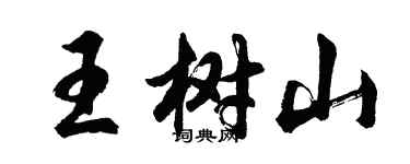 胡問遂王樹山行書個性簽名怎么寫