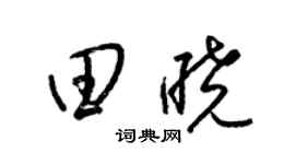 梁錦英田曉草書個性簽名怎么寫