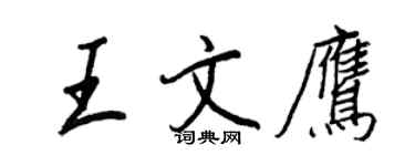 王正良王文鷹行書個性簽名怎么寫