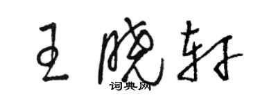 駱恆光王曉軒草書個性簽名怎么寫