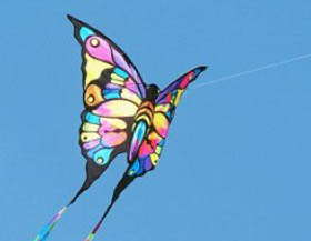 關於風箏的作文 風箏作文專題