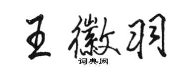 駱恆光王徽羽行書個性簽名怎么寫