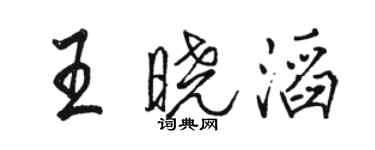 駱恆光王曉滔行書個性簽名怎么寫