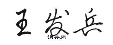 駱恆光王發兵行書個性簽名怎么寫