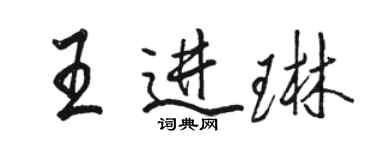 駱恆光王進琳行書個性簽名怎么寫