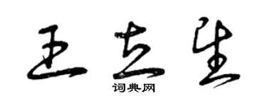 曾慶福王立望草書個性簽名怎么寫