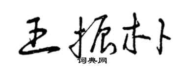 曾慶福王振朴草書個性簽名怎么寫