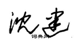 朱錫榮沈建草書個性簽名怎么寫