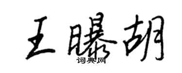 王正良王曝胡行書個性簽名怎么寫