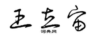 曾慶福王立宙草書個性簽名怎么寫