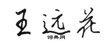 駱恆光王遠花行書個性簽名怎么寫