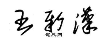 朱錫榮王新漢草書個性簽名怎么寫