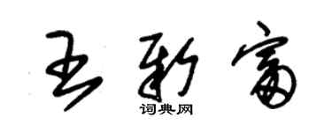 朱錫榮王新富草書個性簽名怎么寫