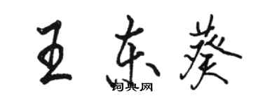 駱恆光王東葵行書個性簽名怎么寫